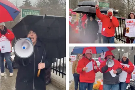 Collage of pictures from CWA Local 1168 rally for Orchard Park Vet worker
