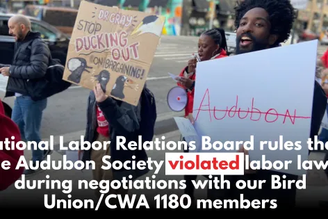 NLRB determines Audubon Society in violation of labor law