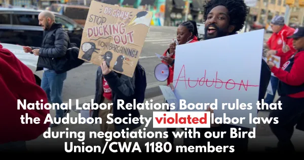 NLRB determines Audubon Society in violation of labor law