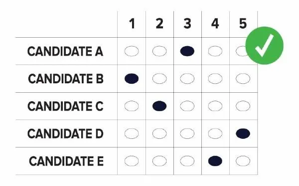 ranked_choice_voting_yes600.jpg